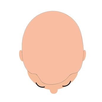 Base Size