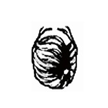 Hair Direction