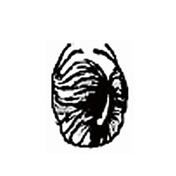 Hair Direction