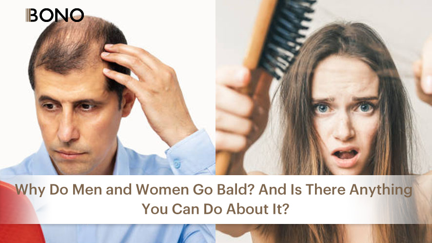 Why do men and women go bald