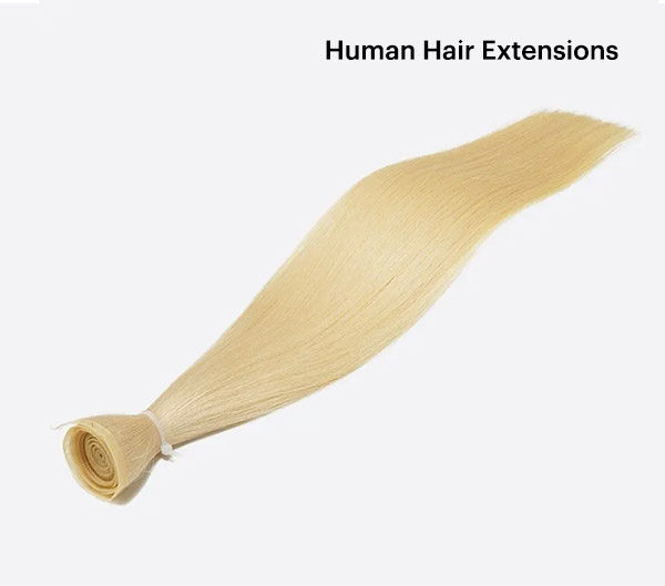 Human Hair Extensions