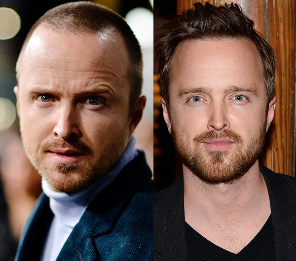 15.Aaron Paul